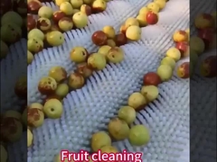 Spazzola a rulli in nylon personalizzata con/senza albero per la macchina industriale per la bucciazione delle patate